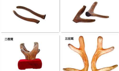 紫银蓝软胶囊价格多少-紫银蓝软胶囊价格网-分享紫银颗粒，紫银育肤知识库