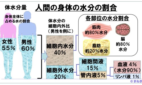 紫银蓝软胶囊价格多少-紫银蓝软胶囊价格网-分享紫银颗粒，紫银育肤知识库